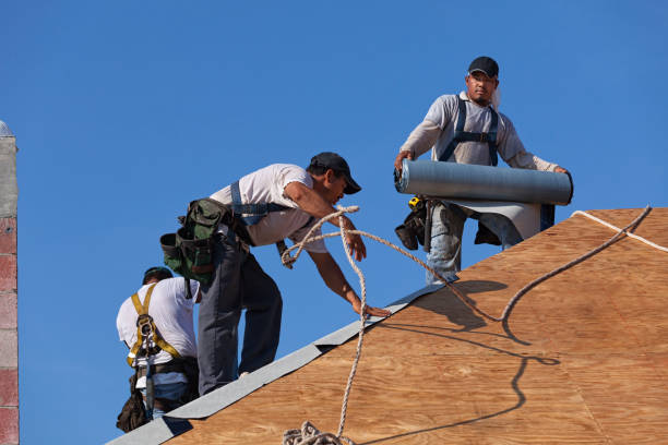 Professional Roofing Contractor in Auburn, AL
